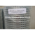 Hot Dipped Galvanized Welded Wire Mesh